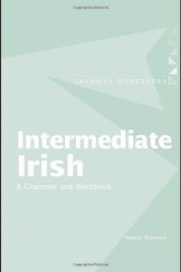 cover of the book Intermediate Irish: A Grammar and Workbook (Grammar Workbooks)