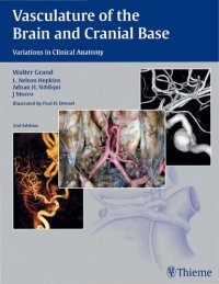 cover of the book Vasculature of the brain and cranial base : variations in clinical anatomy