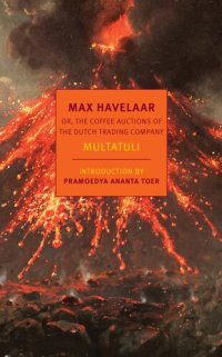 cover of the book Max Havelaar