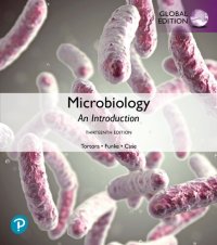 cover of the book Microbiology : an introduction