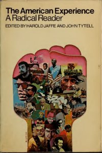 cover of the book American Experience: A Radical Reader