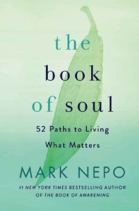 cover of the book The Book of Soul