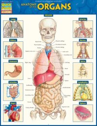 cover of the book Anatomy of the Organs