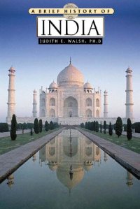 cover of the book A Brief History of India