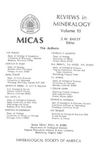 cover of the book Micas