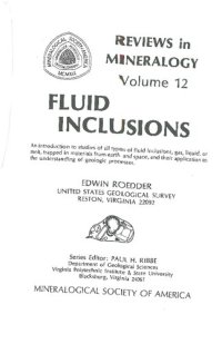 cover of the book Fluid Inclusions