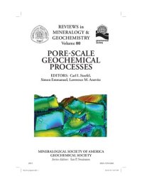 cover of the book Pore-Scale Geochemical Processes