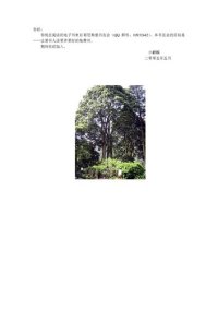 cover of the book 时代的精神状况