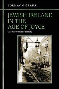 cover of the book Jewish Ireland in the Age of Joyce: A Socioeconomic History