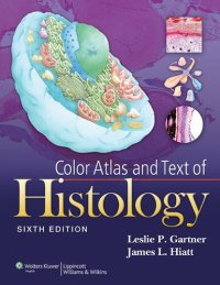 cover of the book Color atlas and text of histology