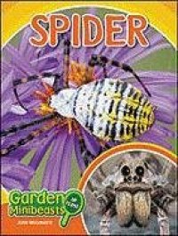 cover of the book Spider (Garden Minibeasts Up Close)