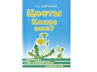 cover of the book Цветы. Какие они?: Кн. для воспитателей, гувернеров и родителей