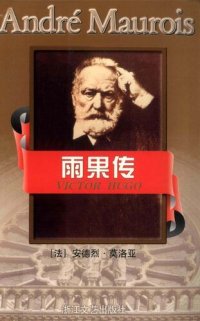 cover of the book 雨果传