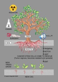 cover of the book Surviving Cancer, Covid-19, and Disease: The Repurposed Drug Revolution