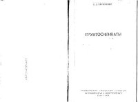 cover of the book Грунтосиликаты