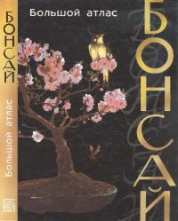 cover of the book Бонсай. Большой атлас