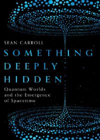 cover of the book Something Deeply Hidden: Quantum Worlds and the Emergence of Spacetime