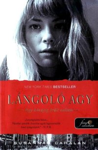 cover of the book Lángoló agy