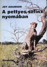 cover of the book A pettyes szfinx nyomában