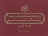 cover of the book yig rigs brgya yi ma phyi 'dzam gling mkhas dgu'i mdzes rgyan phyogs las rnam rgyal - An ornament to the manifest joy of the world : an original text of Tibetan calligraphy