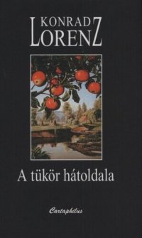 cover of the book A tükör hátoldala