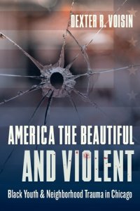 cover of the book America the Beautiful and Violent: Black Youth and Neighborhood Trauma in Chicago