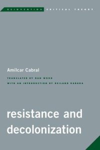 cover of the book Resistance and Decolonization (Reinventing Critical Theory)