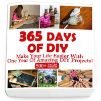 cover of the book 365 Days Of DIY: Make Your Life Easier With One Year Of Amazing DIY Projects! : (DIY Household Hacks, DIY Cleaning and Organizing, Homesteading)