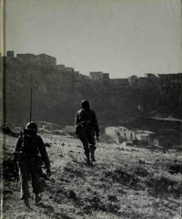 cover of the book The Italian Campaign (World War ll)