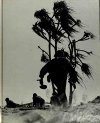 cover of the book Island Fighting (World War II)