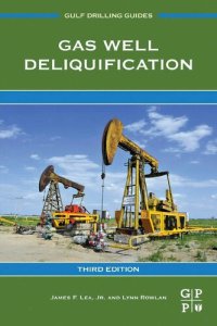 cover of the book Gas Well Deliquification