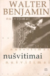 cover of the book Nušvitimai : esė rinktinė