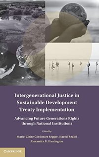 cover of the book Intergenerational Justice in Sustainable Development Treaty Implementation: Advancing Future Generations Rights through National Institutions