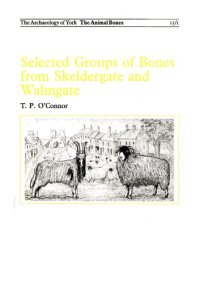 cover of the book Selected Groups of Bones from Skeldergate and Walmgate