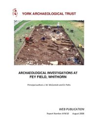 cover of the book Archaeological Investigations at Fey Field, Whithorn