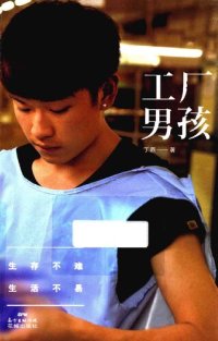 cover of the book 工厂男孩