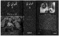 cover of the book جھوٹا سچ (ناول)، دوجا حصہ