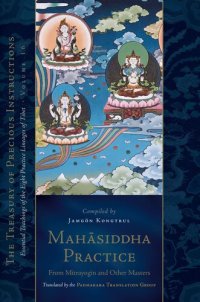 cover of the book Mahāsiddha Practice: From Mitrayogin and Other Masters, The Treasury of Precious Instructions: Essential Teachings of the Eight Practice Lineages of Tibet; volume 16