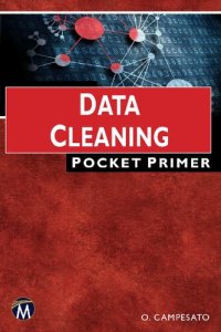 cover of the book Data Cleaning Pocket Primer