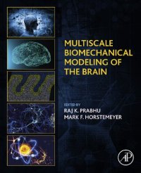 cover of the book Multiscale Biomechanical Modeling of the Brain