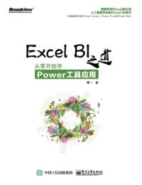 cover of the book Excel BI之道