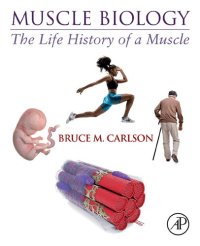 cover of the book Muscle Biology: The Life History of a Muscle