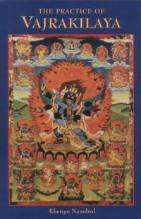 cover of the book The Practice of Vajrakilaya