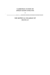 cover of the book The Metrical Grammar of Beowulf