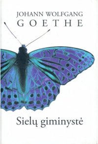 cover of the book Sielų giminystė: romanas