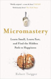 cover of the book Micromastery: 39 Little Skills to Help You Find Happiness