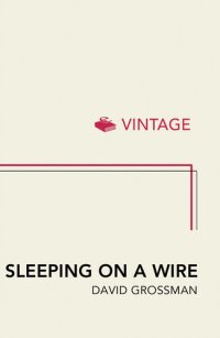 cover of the book Sleeping on a Wire: Conversations with Palestinians in Israel