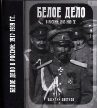 cover of the book Белое дело в России: 1917-1919 гг.: монография