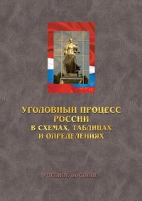 cover of the book Уголовный процесс России в схемах, таблицах и определениях