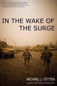 cover of the book In the Wake of the Surge